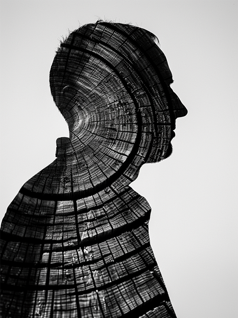 Silhouette